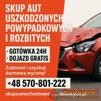 Skup aut uszkodzonych mechanicznie, skup aut z uszkodzonym silnikiem
