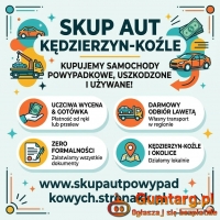 Szybki skup aut uszkodzonych - Kędzierzyn-Koźle bez wychodzenia z domu