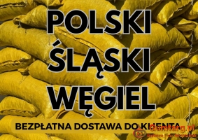 POLSKI WĘGIEL : GROSZEK 5-25, 26-28MJ - Transport Gratis !