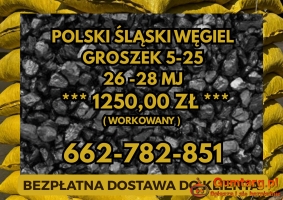 POLSKI WĘGIEL : GROSZEK 5-25, 26-28MJ - Transport Gratis !
