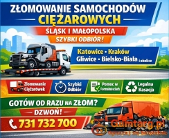 Kasacja, złomowanie ciężarówek. Odbiór we wskazanym miejscu. Śląsk i M